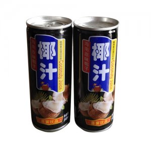 達億元椰汁飲料植物蛋白飲料240ml