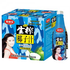 家家樂(lè)生榨椰子汁生榨椰汁植物蛋白飲品禮盒裝