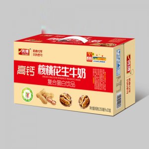 山東鴻博 核桃花生牛奶250mlx20盒
