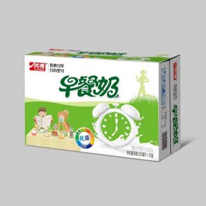 山東鴻博 早餐牛奶250mlx20盒