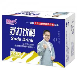 聚果時光蘇打飲料350mlx24瓶