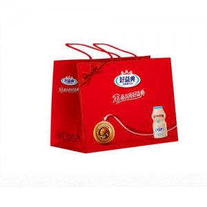 好益典發酵乳酸菌100ml手提袋