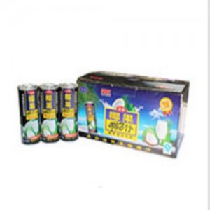 天發椰果椰子汁