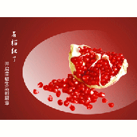 上海綠聯實業投資有限公司