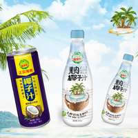 海南儋州南椰飲料有限公司