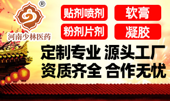河南少林醫藥科技有限公司