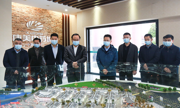 揭陽市政協主席崔建軍一行蒞臨普寧康美中藥城參觀考察