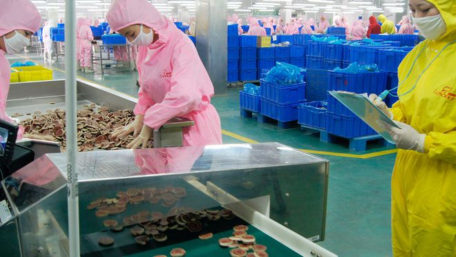 寵物食品第三股來了！ OEM 模式為主，能吃到寵物市場大蛋糕嗎？.jpg