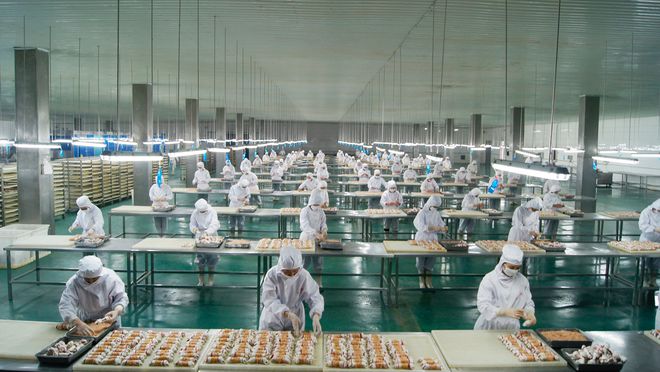 寵物食品第三股來了！ OEM 模式為主，能吃到寵物市場大蛋糕嗎？1.jpg