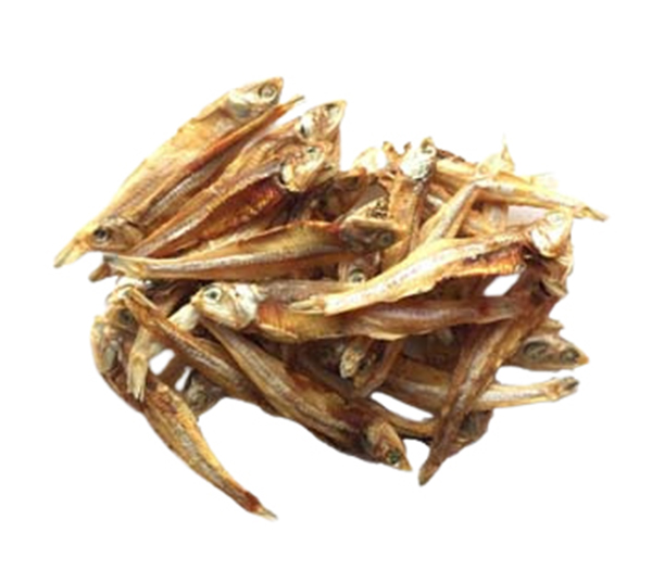 寵物烘干魚 - 副本.jpg