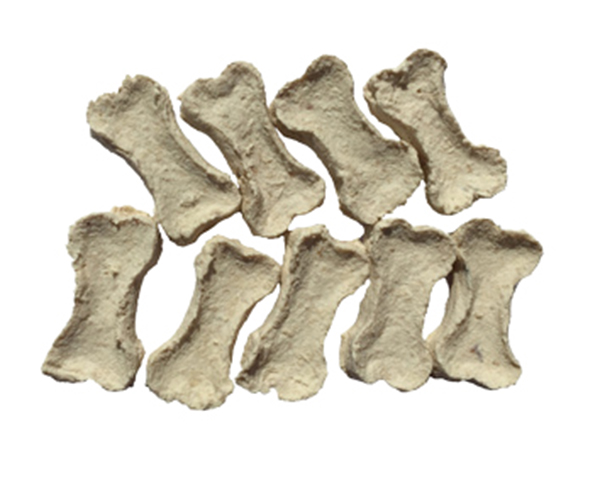 寵物小骨形鱈魚 - 副本.jpg