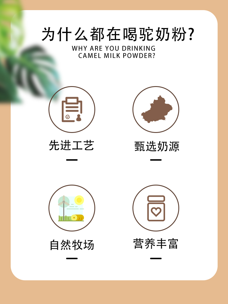 西域總督初乳配方駝奶粉詳情頁_03.jpg