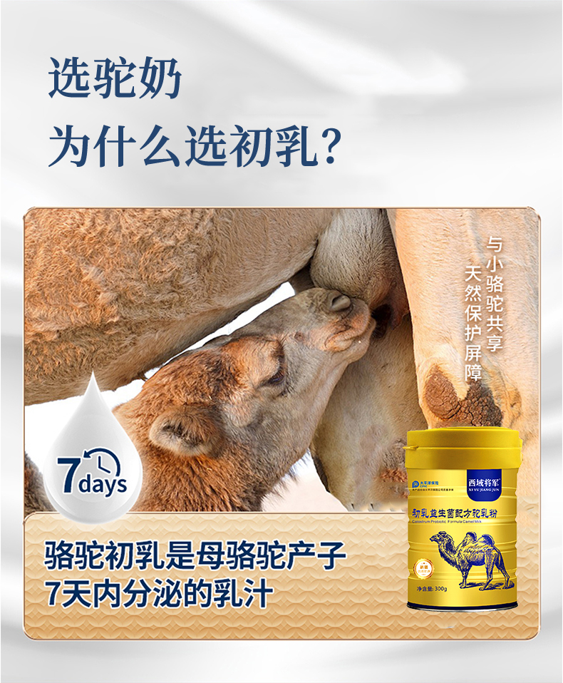 西域將軍初乳益生菌配方駝乳粉_04.jpg