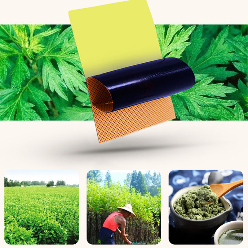 艾灸貼貼牌代加工,一站式源頭代工工廠