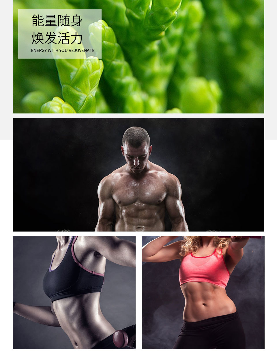 酸棗仁茯苓百合Y-氨基丁酸壓片糖果貼牌代加工,放心之選