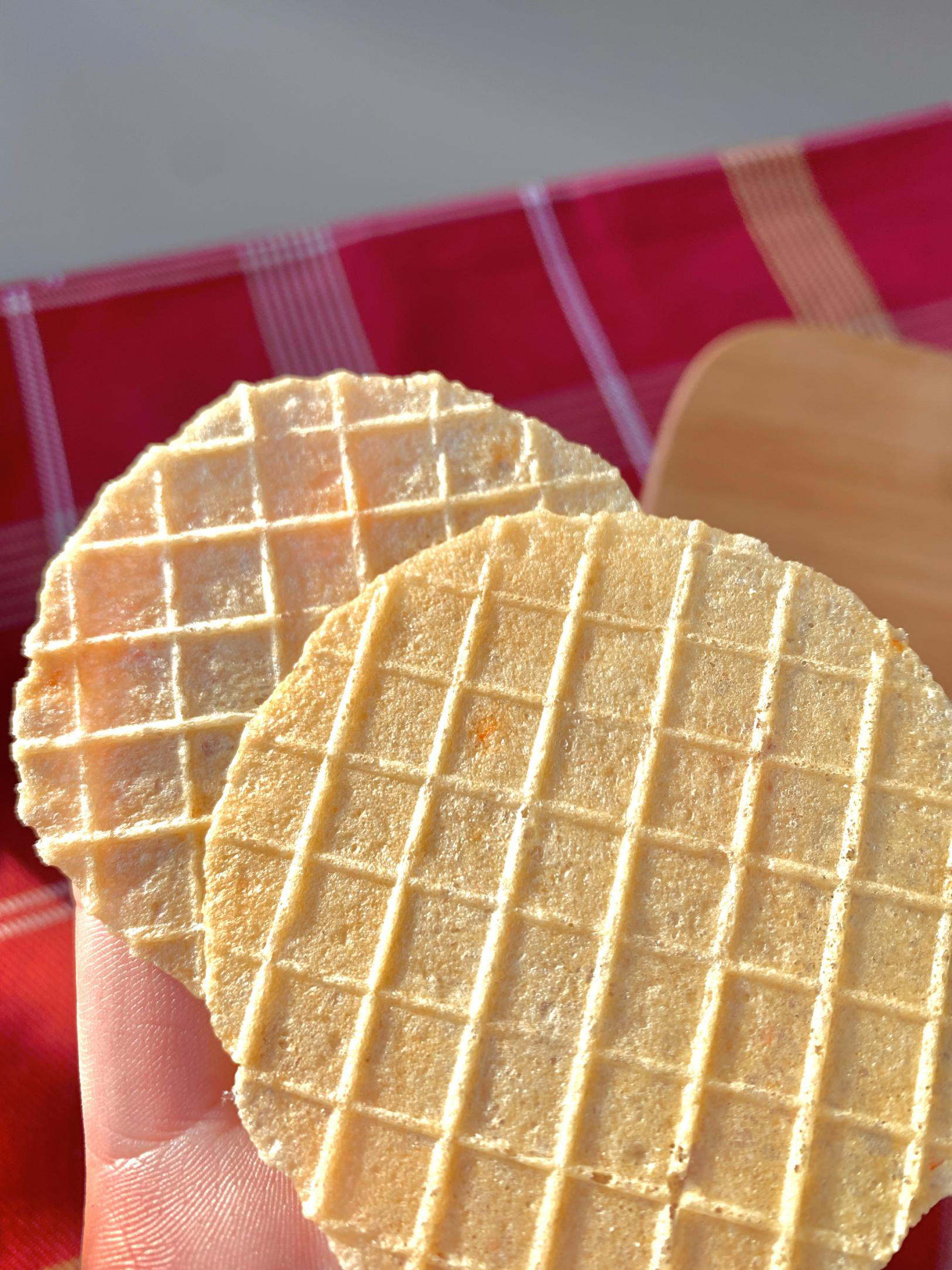 魚片蝦片 (1).jpg