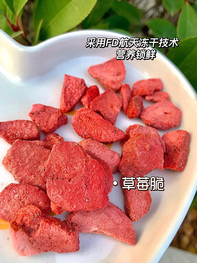 凍干水果脆OEM口味造型可定制 兒童零食貼牌代工廠家