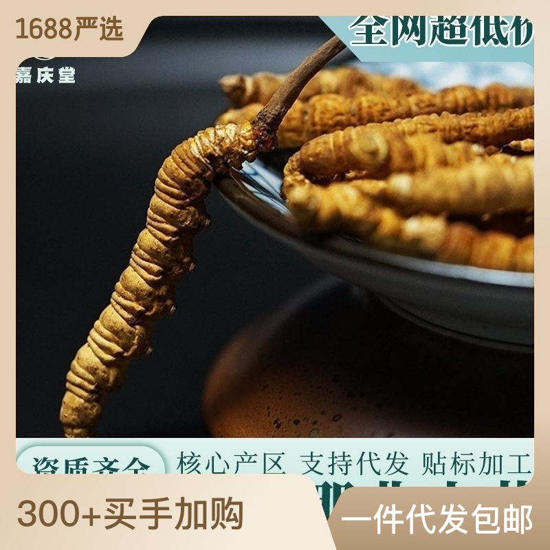 西藏那曲冬蟲夏草正品凍干 傳統滋補品營養品 蟲草干貨源頭批發.jpg