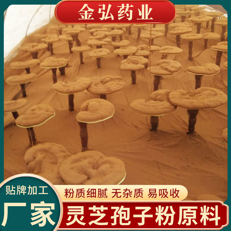 大別山靈芝孢子粉原料 可備案 資質齊全.jpg