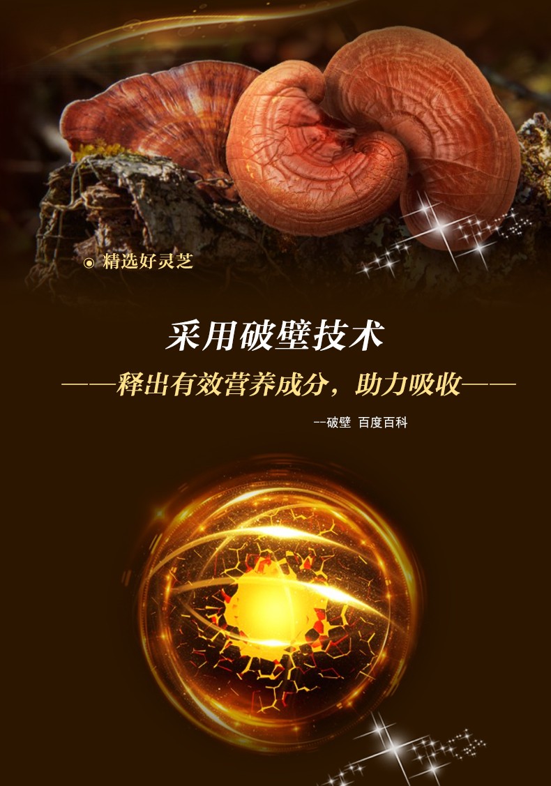 益生易佰® 破壁靈芝孢子粉膠囊-詳情_03.jpg