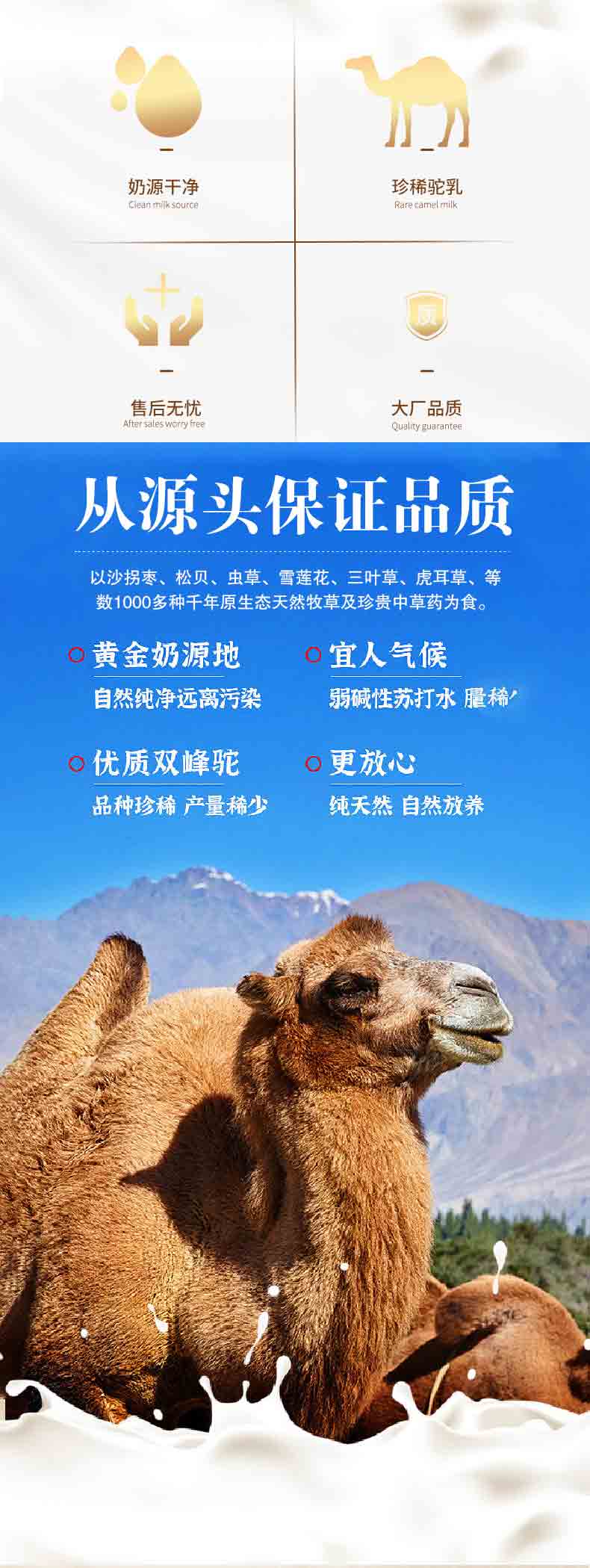 薩克駝初乳益生菌駝乳粉詳情_02.jpg