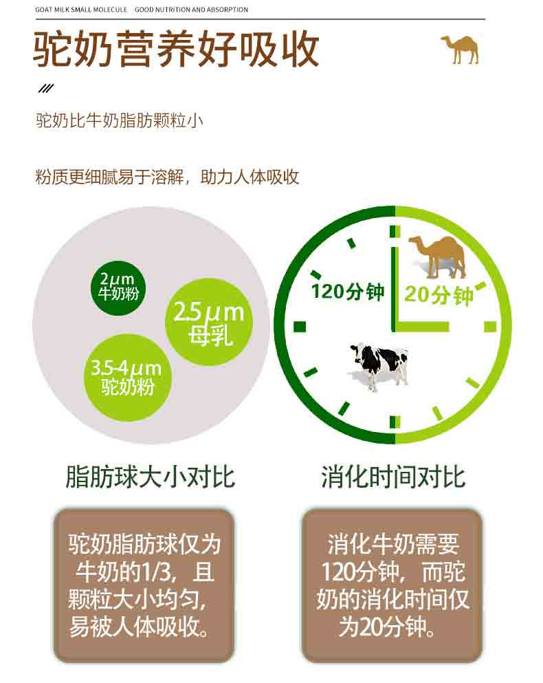薩克駝初乳益生菌駝乳粉詳情_06.jpg