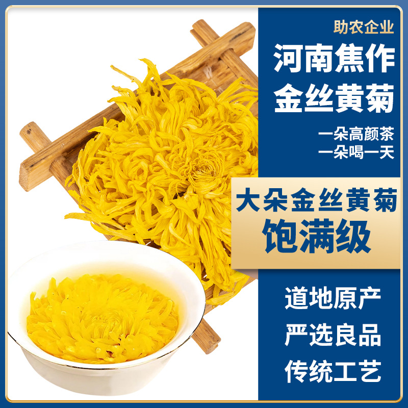 菊花茶茶葉金絲皇菊焦作特產菊花黃菊大朵創源堂廠家批發.jpg