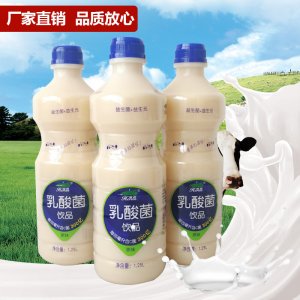 荷潤乳酸菌飲品1.25L代加工貼牌OEM/ODM