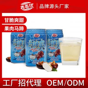 吉百優(yōu)馬蹄爽果汁貼牌OEM/ODM