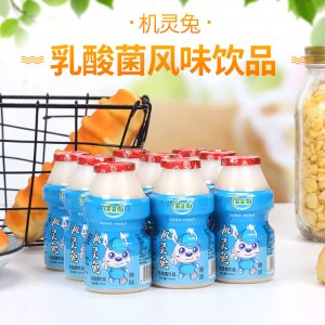 100mlx40機靈兔乳酸菌兒童營養早餐酸牛奶代加工貼牌OEM/ODM