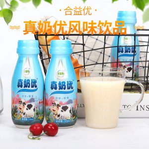 合益優真奶優活性乳酸菌飲料310mlx12瓶貼牌定制代加工