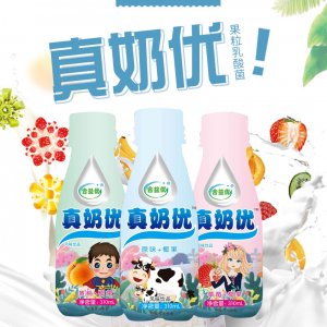 合益優真奶優養樂多活性乳酸菌飲料310mlx12瓶代加工貼牌OEM/ODM