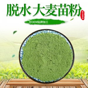 大麥苗粉  OEM/ODM代加工