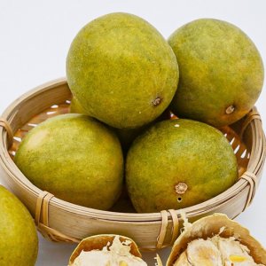 廣西桂林羅漢果茶代加工貼牌OEM/ODM