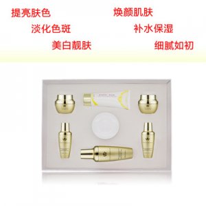 美容院美白祛斑套盒 可貼牌OEM代加工