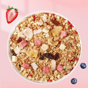 酸奶燕麥片代加工貼牌OEM/ODM