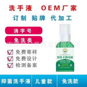 成人兒童抑菌消毒洗手液貼牌加工OEMOEM代加工