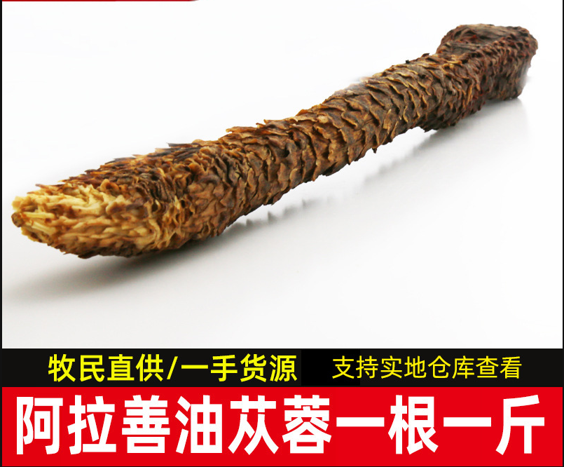 整根軟肉蓯蓉1根一斤貼牌OEM/ODM