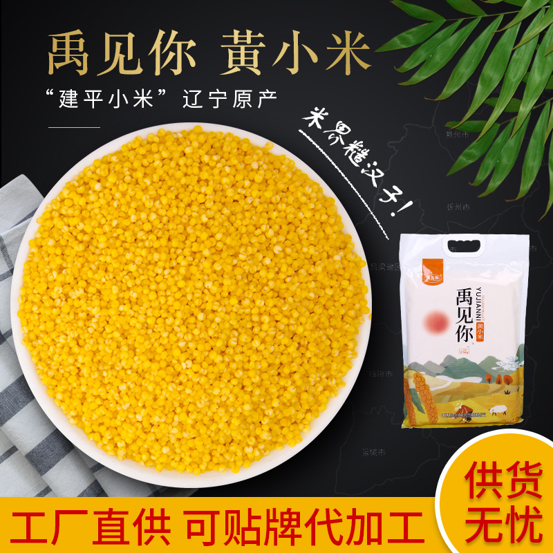 五谷雜糧禮盒 貼牌定制代加工