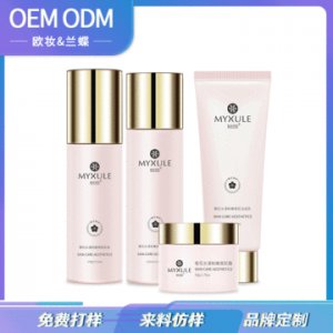 院線高端護膚套盒櫻花美肌四件套OEM/ODM代加工