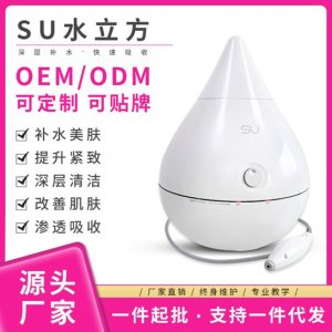 廣州震澳美容儀器有限公司