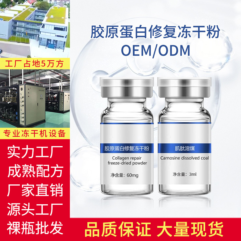 膠原蛋白修復凍干粉貼牌OEM/ODM