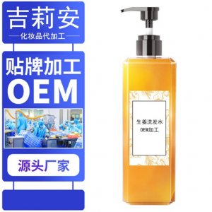 防脫生姜洗發水貼牌OEM/ODM