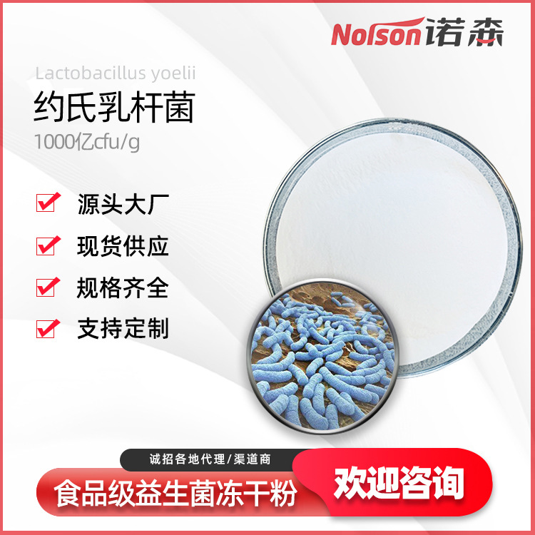 約氏乳桿菌 益生菌原粉乳酸菌貼牌OEM/ODM