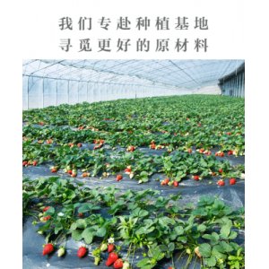 雪花酥牛軋糖烘焙原料貼牌定制代加工