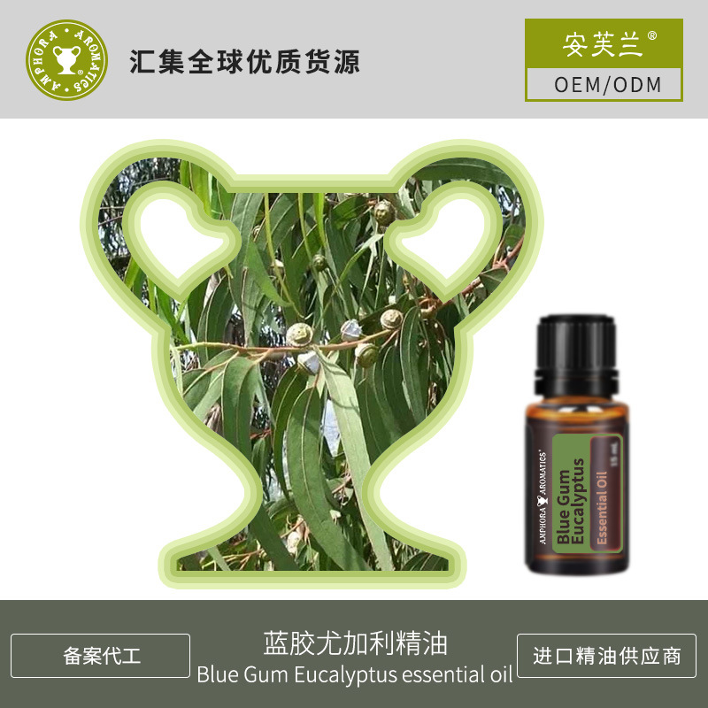 藍(lán)膠尤加利精油OEM/ODM定制代加工