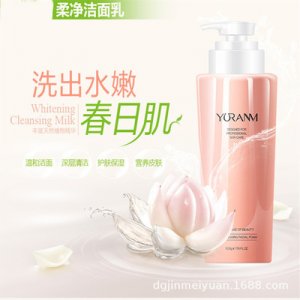 東莞市藍興實業有限公司