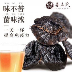 正宗野生特級長柄黑靈芝OEM/ODM代加工