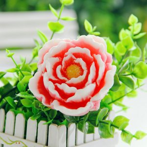牡丹花卡通香皂可OEM/ODM代工