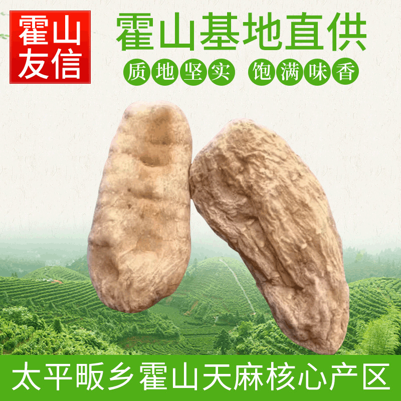 霍山友信生態農業發展有限公司